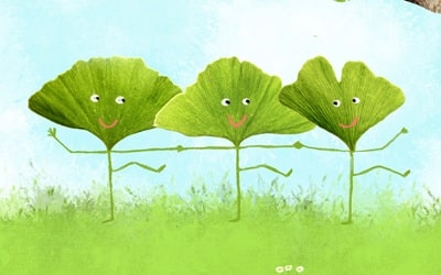 De weg van de ginkgo biloba