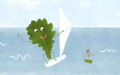 Hoe een eikenblad op een surfplank belandt